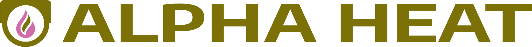 website logo
